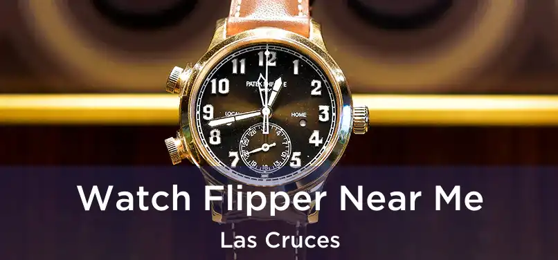  Watch Flipper Near Me Las Cruces